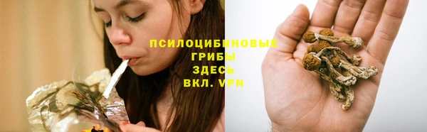 СК Кадников