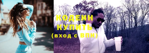 индика Видное