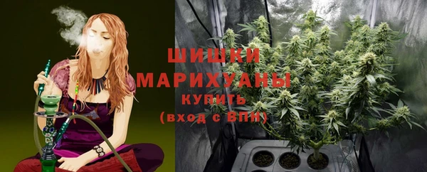 эйфоретик Кизел